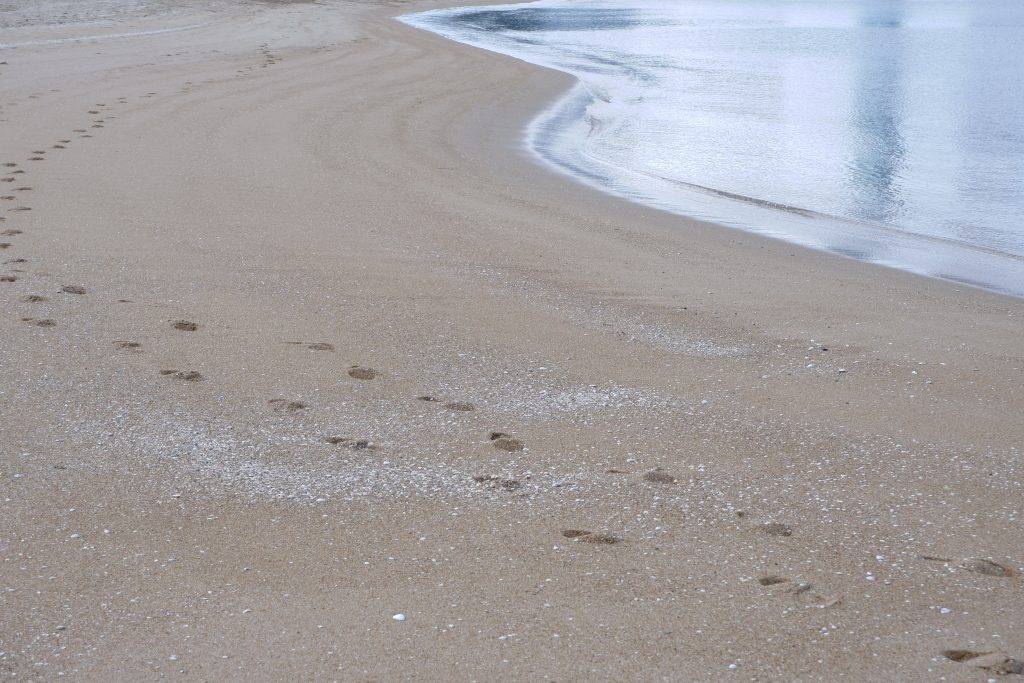 Beach Footprints in the Sand