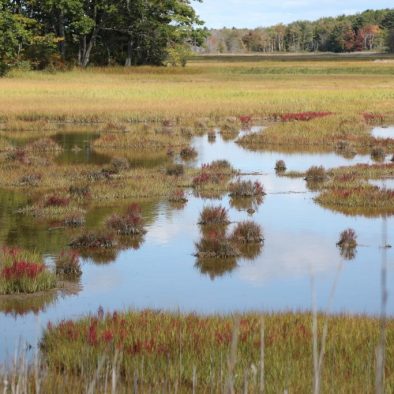 Scarborough Marsh, a great activity you can do from your vacation home rental in Scarborough, Maine